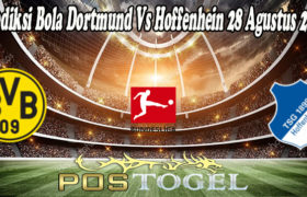 Prediksi Bola Dortmund Vs Hoffenhein 28 Agustus 2021