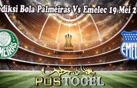 Prediksi Bola Palmeiras Vs Emelec 19 Mei 2022