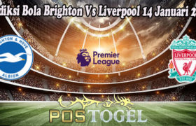 Prediksi Bola Brighton Vs Liverpool 14 Januari 2023