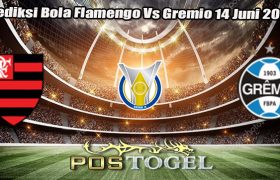 Prediksi Bola Flamengo Vs Gremio 14 Juni 2024